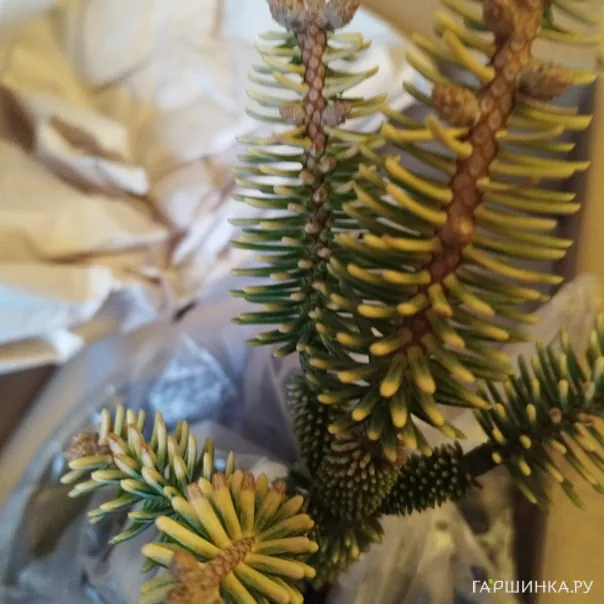 превью изображения отзыва