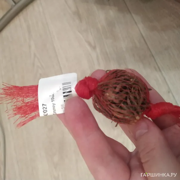 превью изображения отзыва