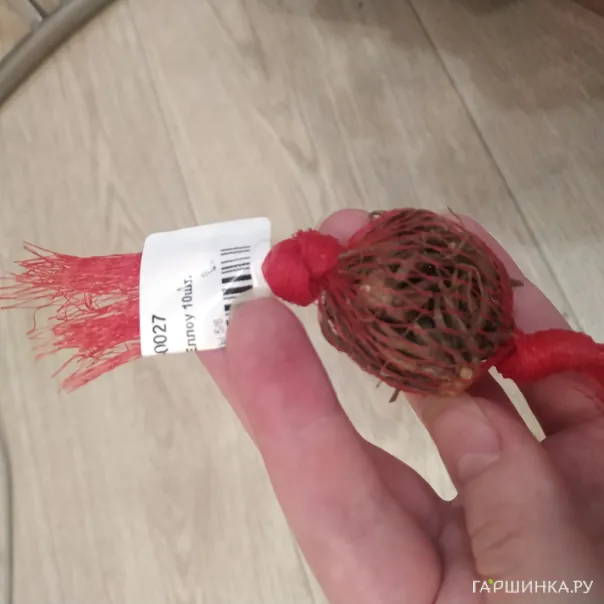 превью изображения отзыва