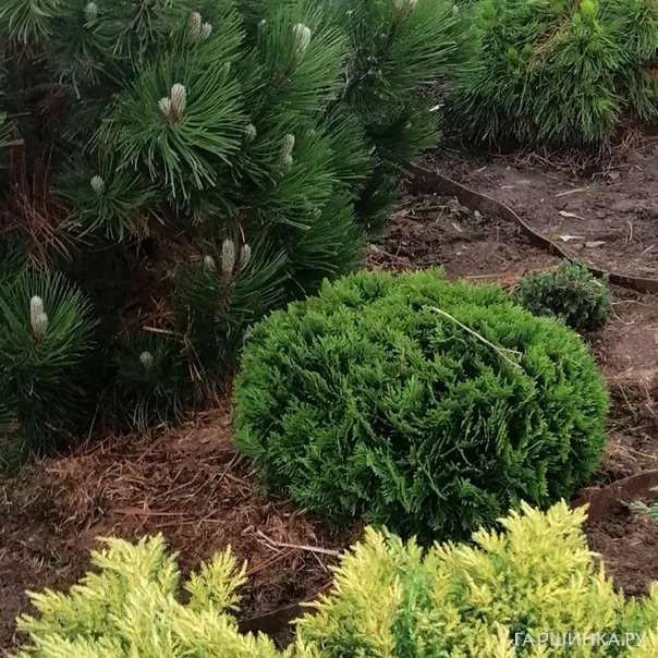 превью изображения отзыва