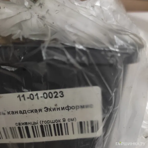 превью изображения отзыва