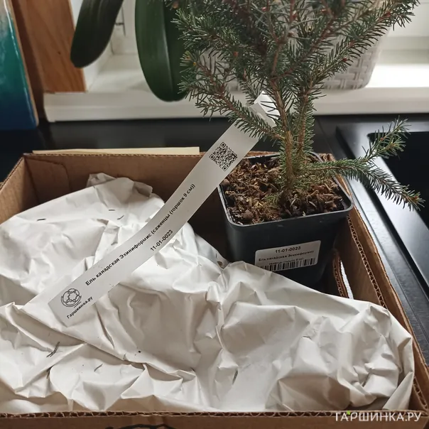 превью изображения отзыва