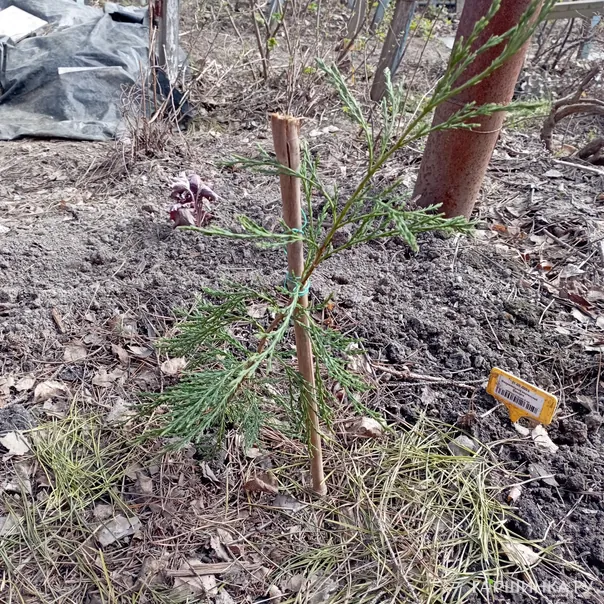 превью изображения отзыва