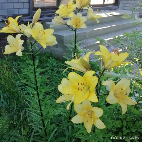 превью изображения отзыва