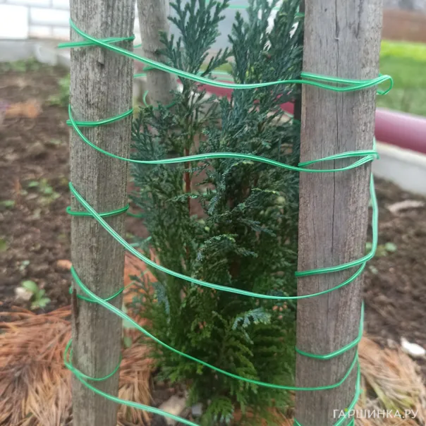 превью изображения отзыва