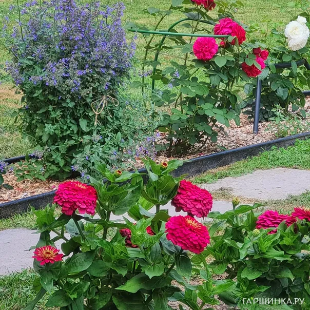 превью изображения отзыва