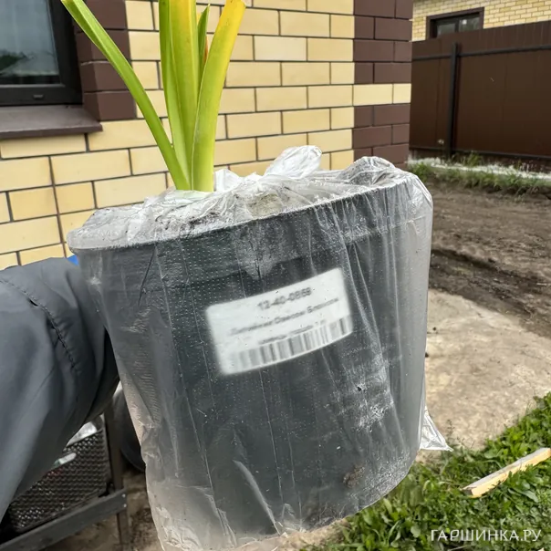 превью изображения отзыва