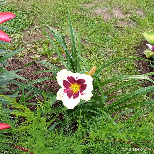 превью изображения отзыва