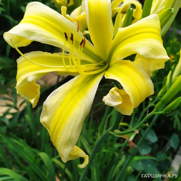 превью изображения отзыва