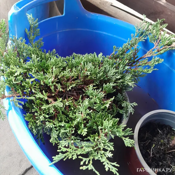 превью изображения отзыва