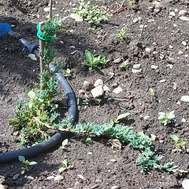 превью изображения отзыва