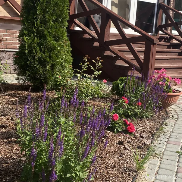 превью изображения отзыва