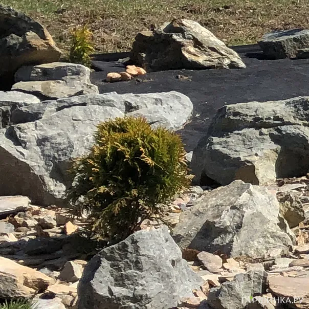 превью изображения отзыва