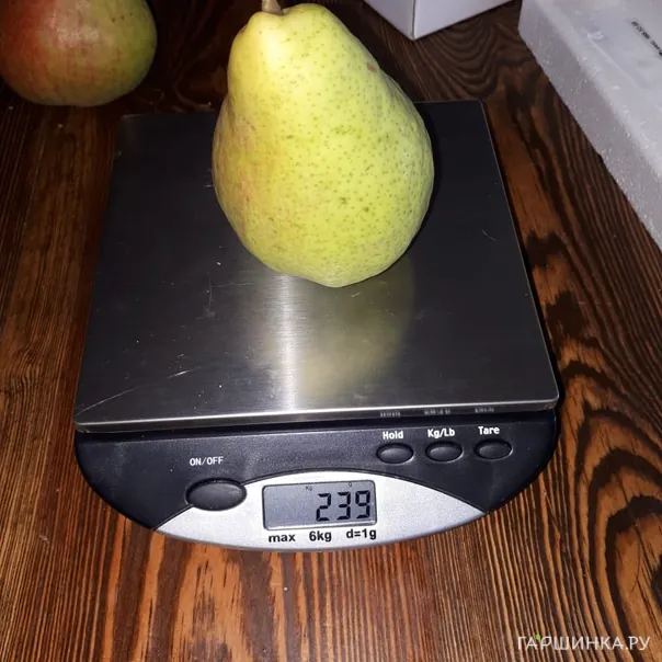 превью изображения отзыва