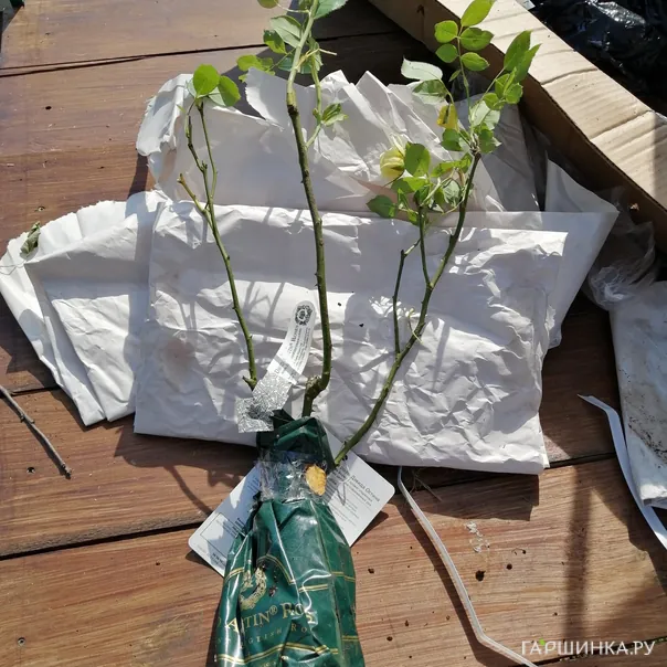 превью изображения отзыва