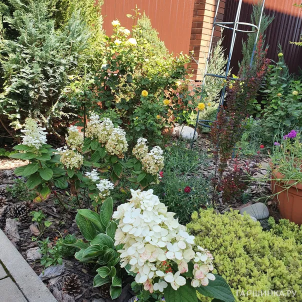 превью изображения отзыва