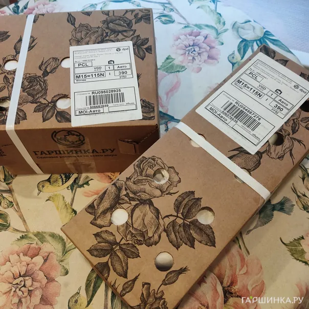 превью изображения отзыва