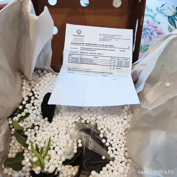 превью изображения отзыва