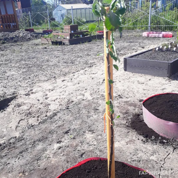 превью изображения отзыва