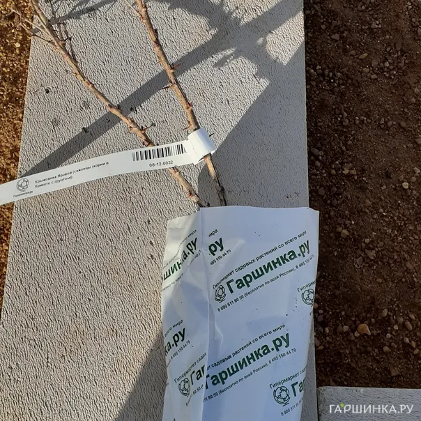 превью изображения отзыва