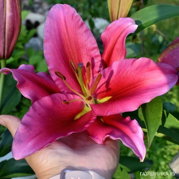 превью изображения отзыва