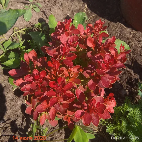 превью изображения отзыва