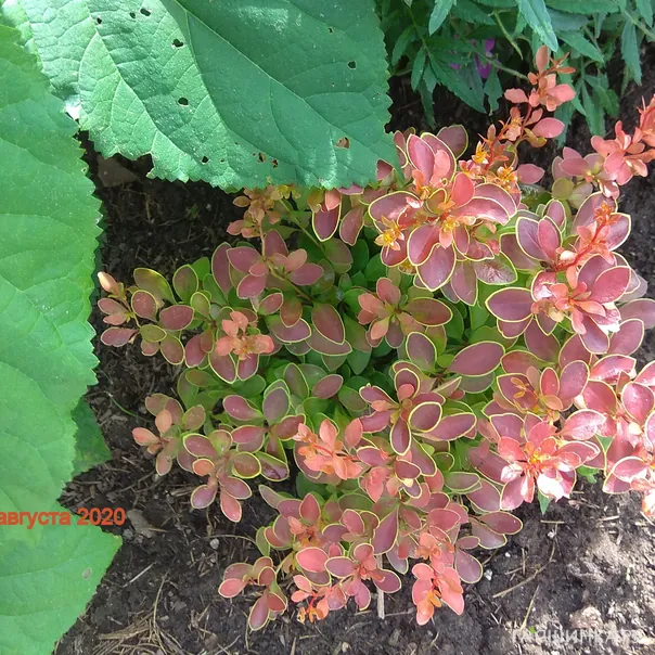 превью изображения отзыва