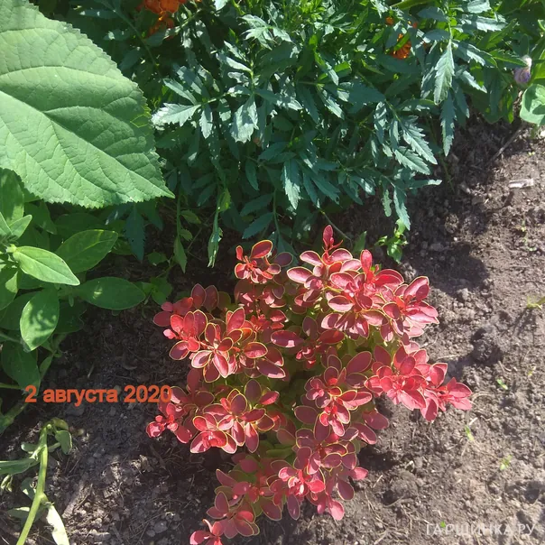 превью изображения отзыва