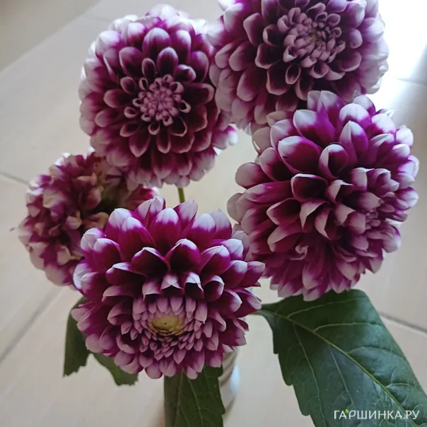 превью изображения отзыва