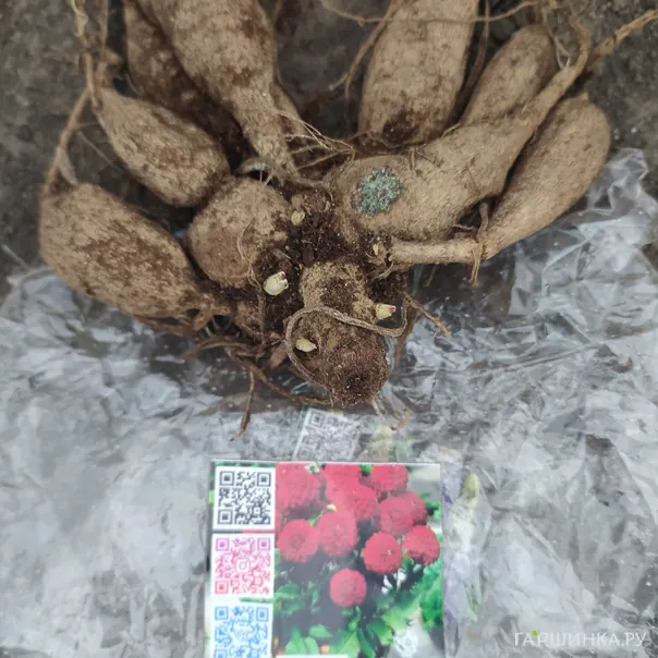 превью изображения отзыва