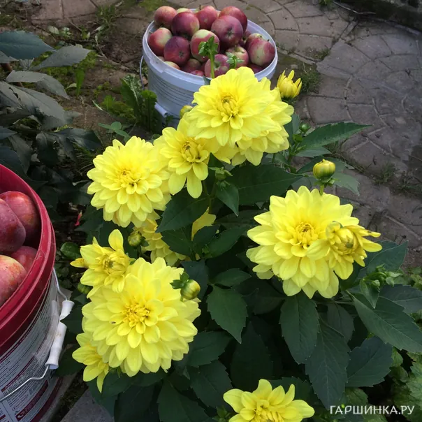 превью изображения отзыва