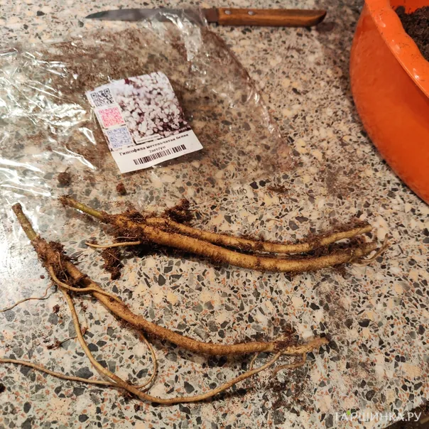 превью изображения отзыва