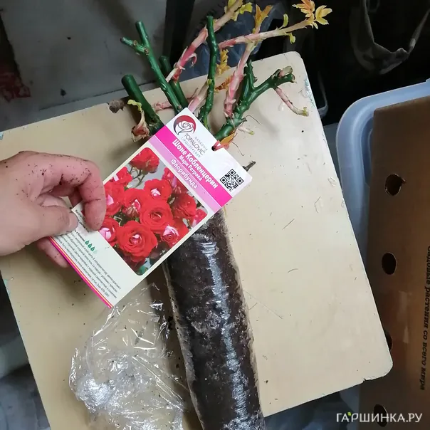 превью изображения отзыва