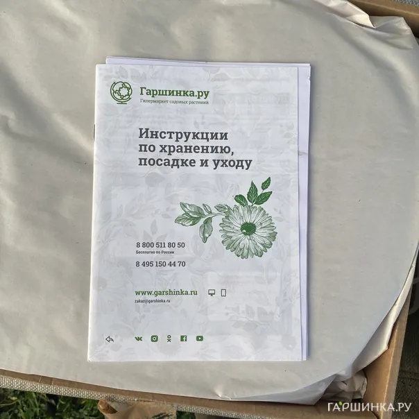 превью изображения отзыва