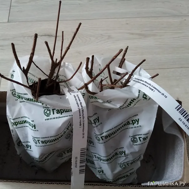 превью изображения отзыва