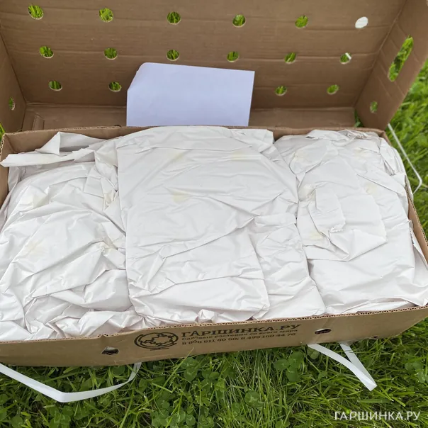 превью изображения отзыва