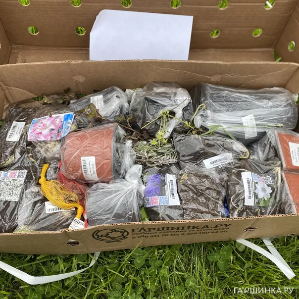 превью изображения отзыва