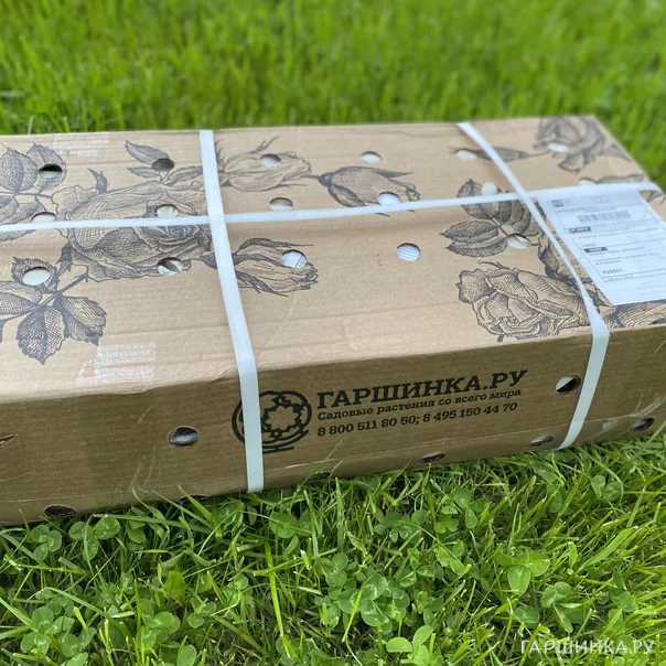 превью изображения отзыва