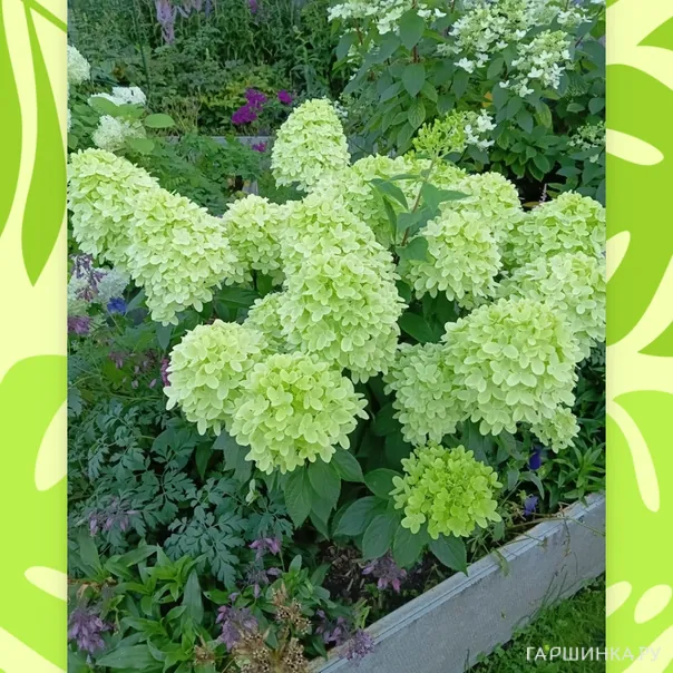 превью изображения отзыва