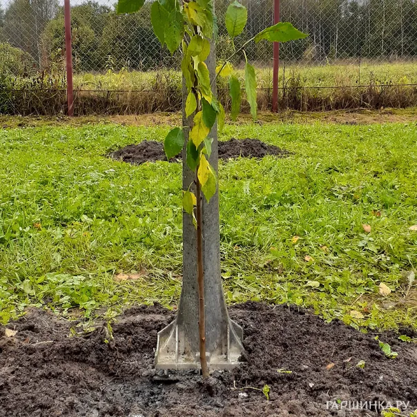 превью изображения отзыва