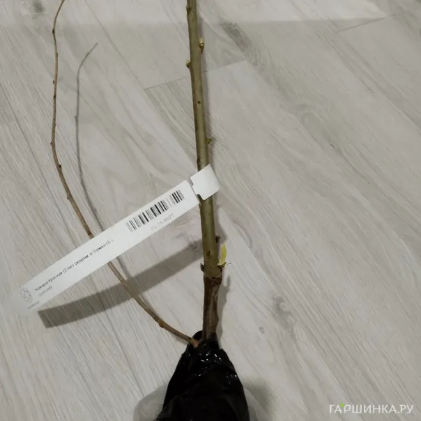 превью изображения отзыва