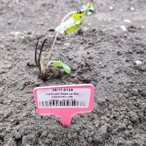 превью изображения отзыва