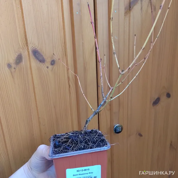 превью изображения отзыва