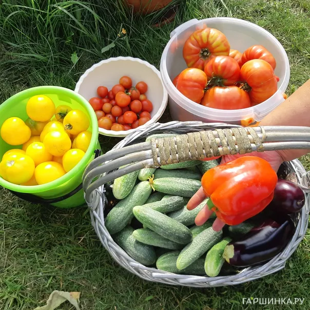 превью изображения отзыва