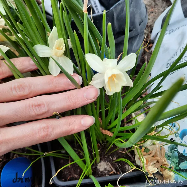 превью изображения отзыва