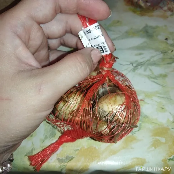 превью изображения отзыва