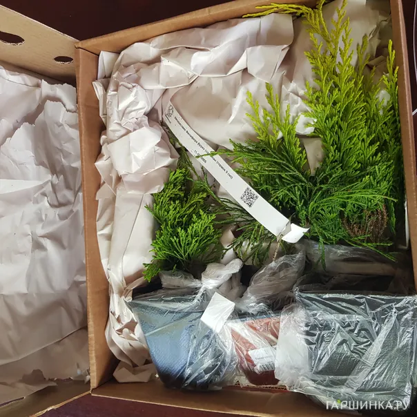 превью изображения отзыва