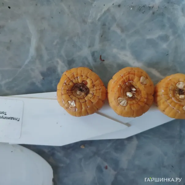 превью изображения отзыва