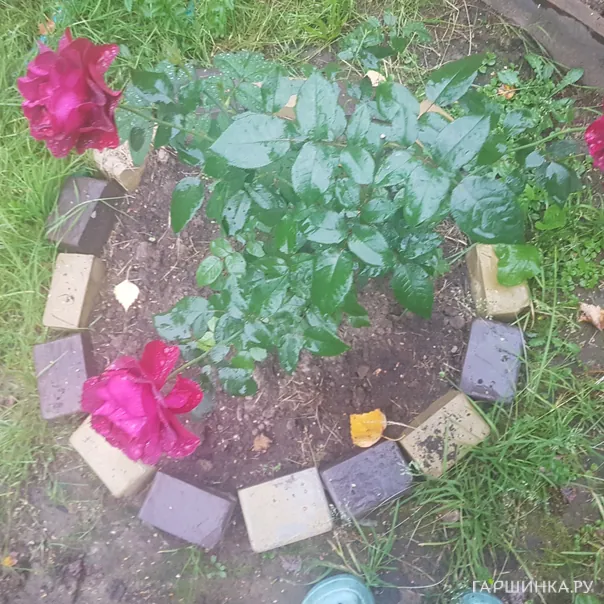 превью изображения отзыва