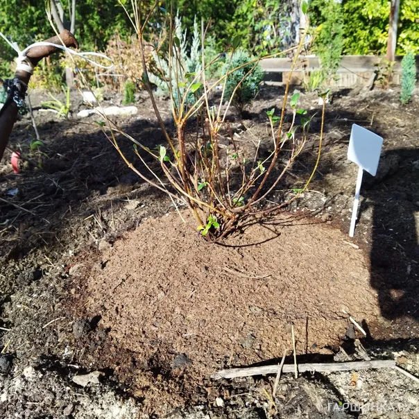 превью изображения отзыва